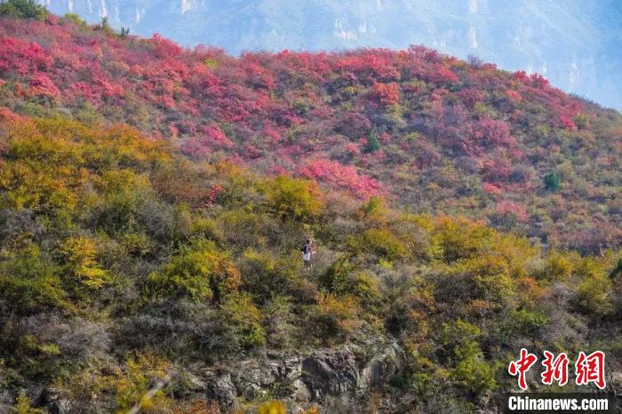 2023云丘山越野赛圆满收官 3500余名选手角逐四大